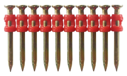 Afbeelding - 5870026-jpg